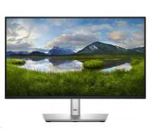 Dell 22 Monitor P2225H 21,5 FHD (1920x1080)/16:9/100Hz/IPS/5ms/DP/USB-C/Pivot/3R