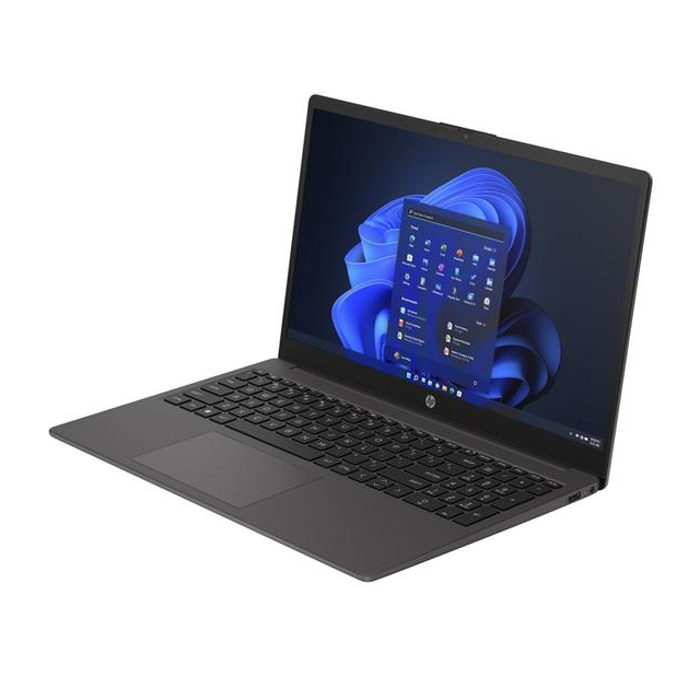HP 250R G9 i3-1315U 15.6" FHD 300, 8GB, 256GB, ax, BT, FpS, Win 11, 3/3/3