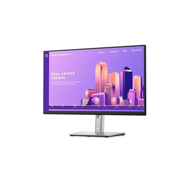 Dell 24 Monitor - P2422H -  60.5cm (23.8)