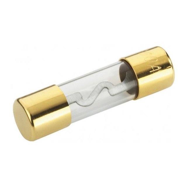 Poistka sklenena 60A SS